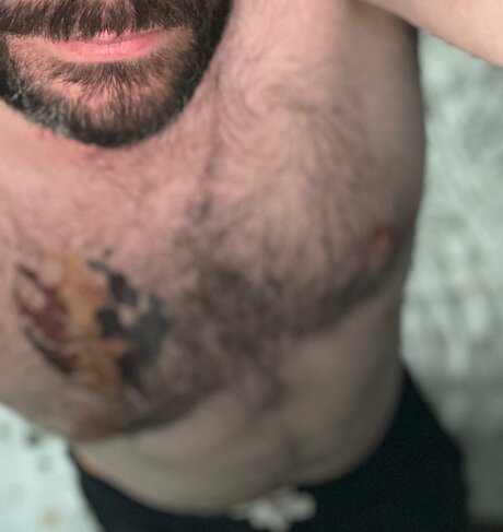 Gibbo bear exclusive star image