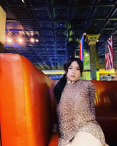 Virginassian nice model galleries