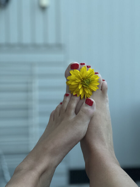 Foot fetish page sex actress gallery