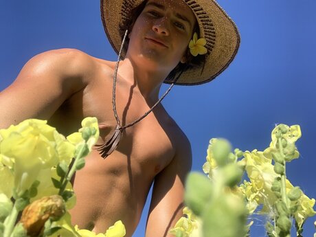 lavender lovely nice star images