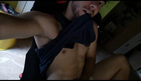 Priskov beautiful star galleries