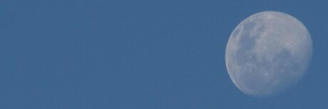 m4nu model pornographic galleries