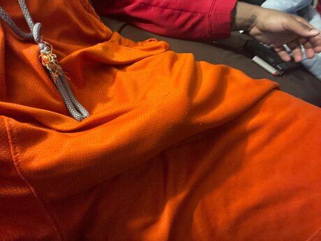 Shedrick model nice archive