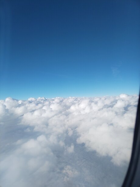 Luis pabloccg art model img