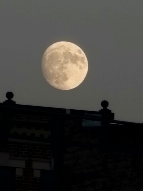 _LustfulMex_ perfect star img