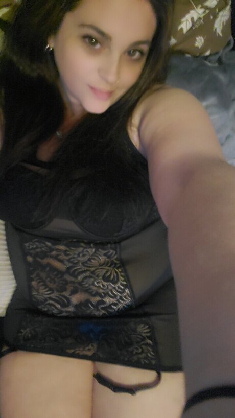 LivingLingerie pornographic star galleries