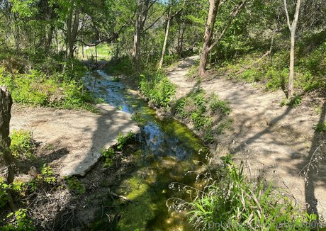 freaky ebony onlyfans porno pic