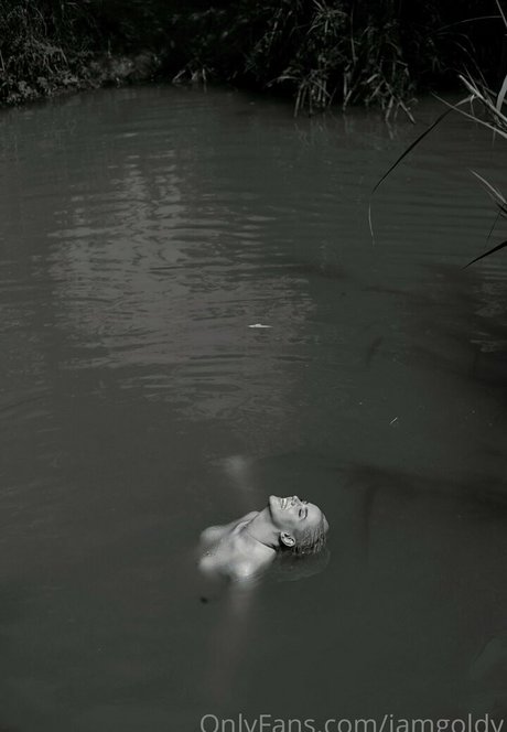 Yuval Gold star art img