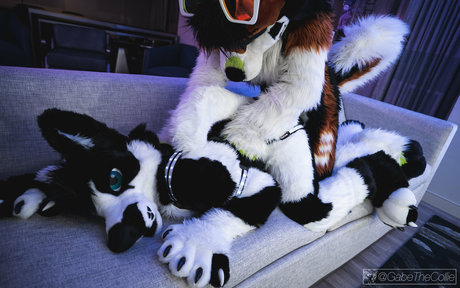 anejo xxx kaii pornstar hot picture