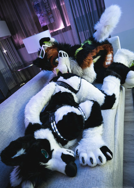 anejo xxx kaii star naked photo