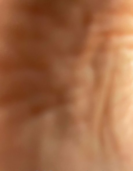 miss piggytoes star free image