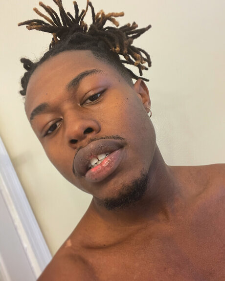 Dawgg star art galleries