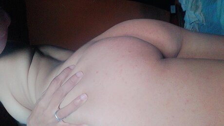 Aixa michelle star best images