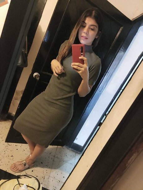 ANACAST nice model archive