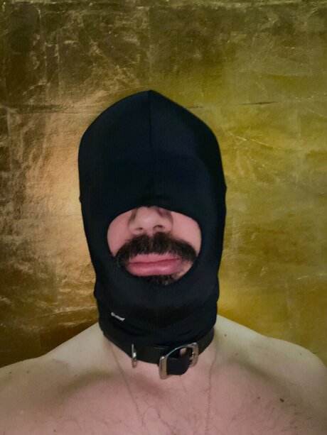 Bruno pornstar beautiful pictures