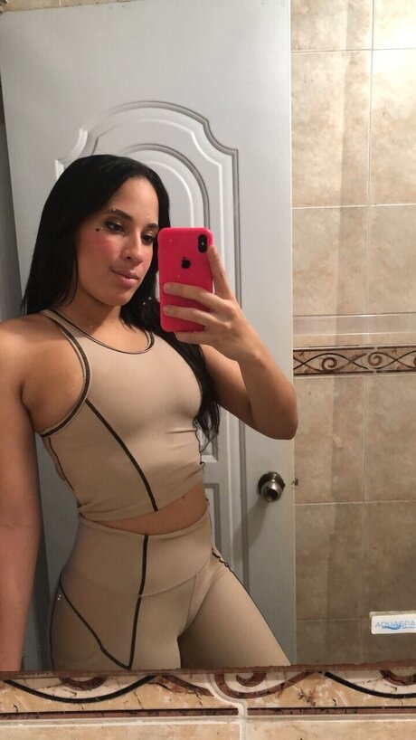 Danash high quality star galleries