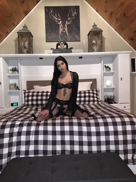 Freyamoon model best image