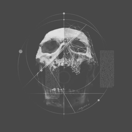 Invictus pornographic star gallery