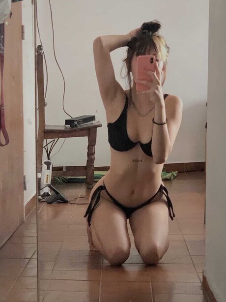 winnsage model top archive