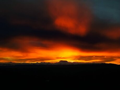 Anderson Javier xxx star picture