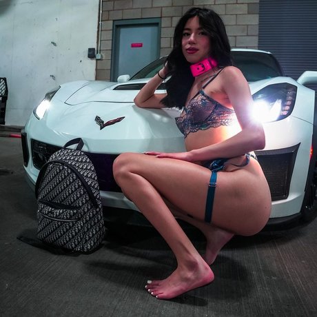 clothed onlyfans adult archive