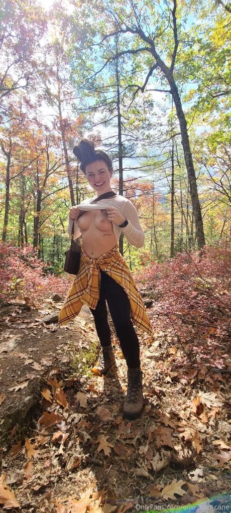 Emerson cane nice star picture