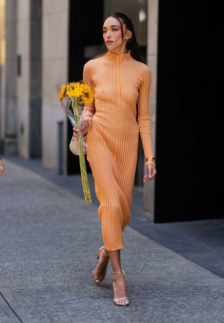 Sophia Culpo best star image