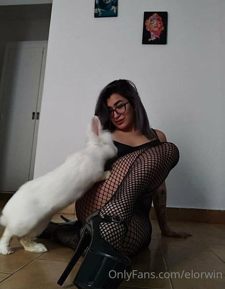 elorwin hd pornstar gallery