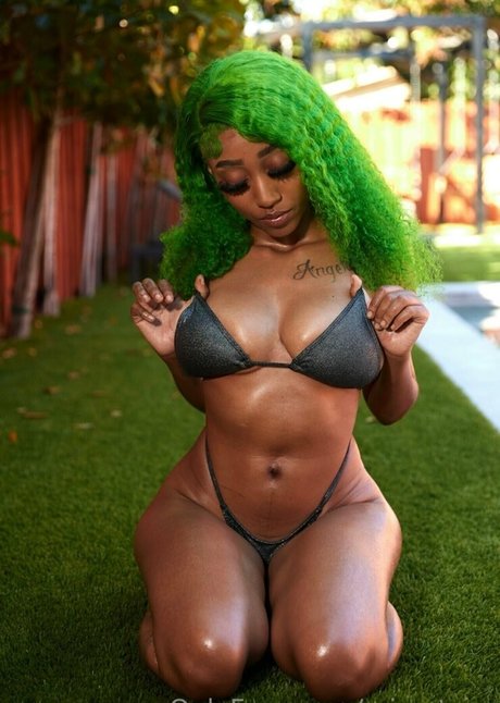 miaa tvvv model art archive