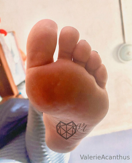 val acanthus star porn pics