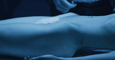 Vahide Bulu star porn archive