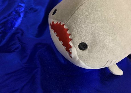 baby buns star sex galleries