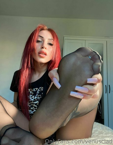 Venusclad Profile pic