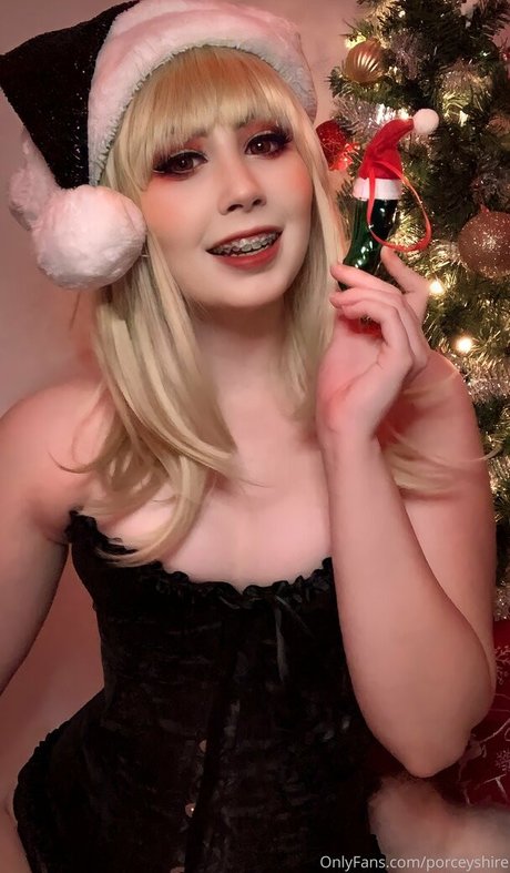 porceyshire Profile pic