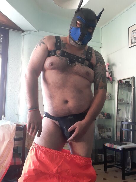 Wingedmonkey pornstar pretty image