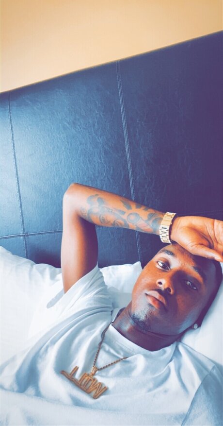 Hatch4 star adult image