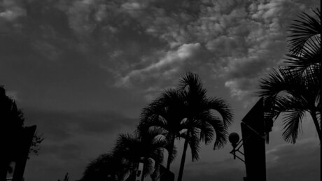 DOROTHEO model pretty gallery