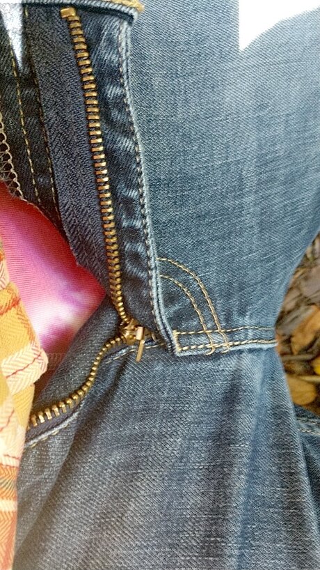 Hamster perfect star photo