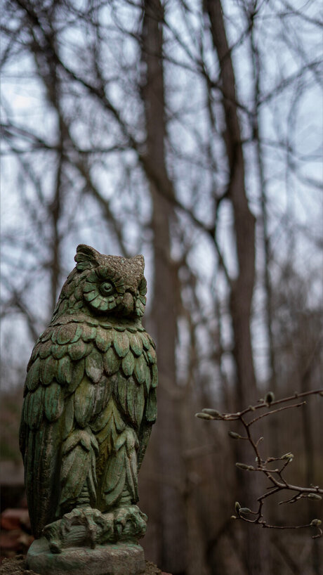 gore4gore perfect model img