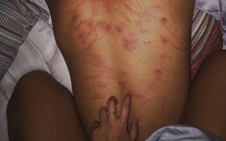 T xico pornographic actress galleries