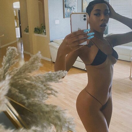 _amp lt3 xxx star galleries