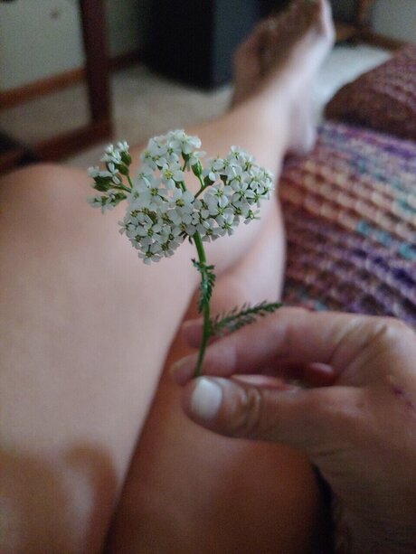 Madira Vega Antares nudes pornstar img