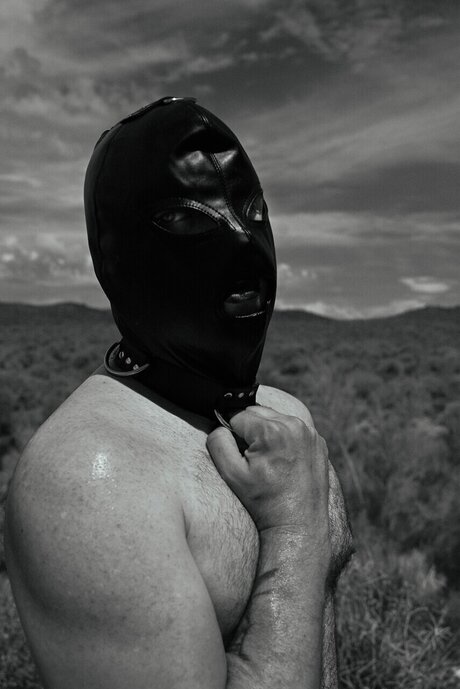 Steve Trevor free model galleries