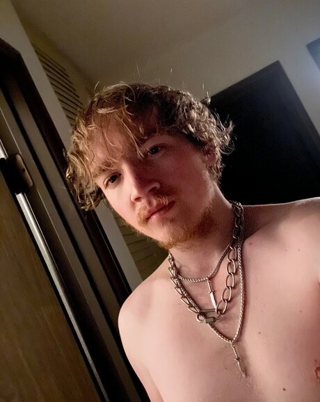 DICKFxRTHEMxxN star top picture