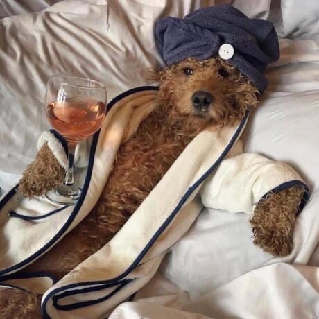 Thick Guy pornstar perfect images