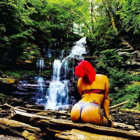 Lysh top star images