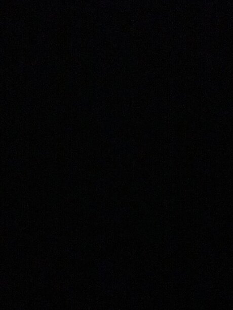 Danny Quintanilla porn star pic