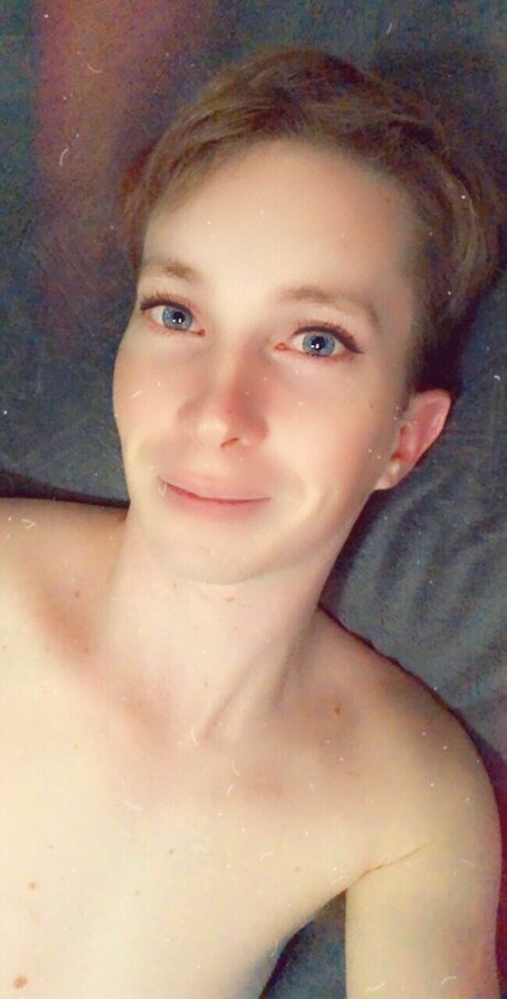 Orion Wesley model art picture