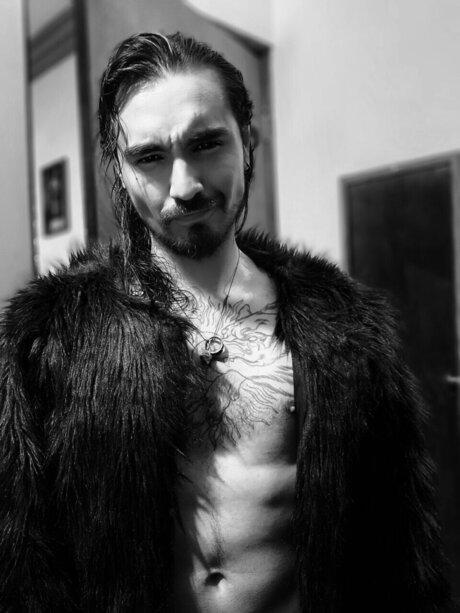 Blackfox model free img