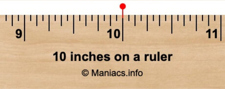 10IN PRINCE Roca free actress galleries